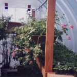 Feb - March Centralia 1