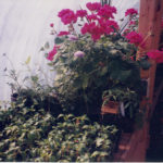 Feb - March Centralia 2