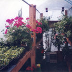 Feb - March Centralia 3