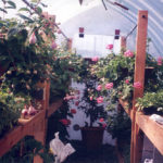 Feb - March Centralia 4