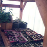 Feb - March Centralia 7