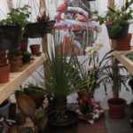 KONICA MINOLTA DIGITAL CAMERA