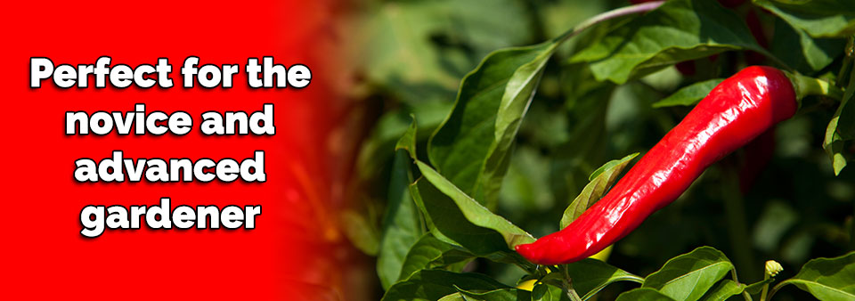 Perfect for the novice and advanced gardener