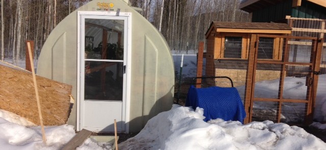 Greenhouse in the snow